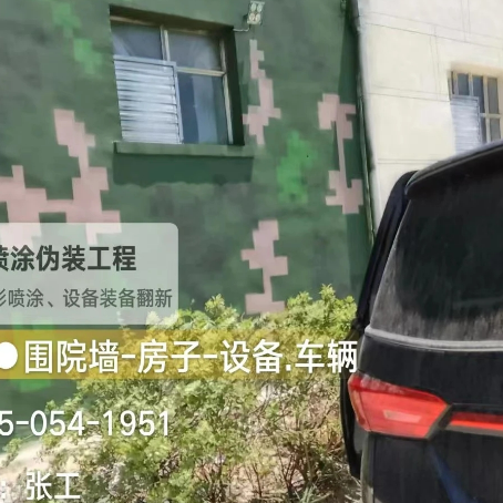 青浦数码迷彩漆施工